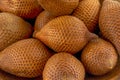 Salaka, snake fruit dark brown background tropical fruit asia design