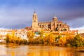 Salamanca Cathedral in november Royalty Free Stock Photo