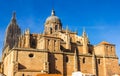 Salamanca Cathedral Rear View