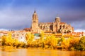 Salamanca Cathedral from Tormes River Royalty Free Stock Photo