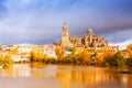 Salamanca Cathedral from Tormes River Royalty Free Stock Photo