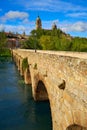 Salamanca skyline and roman bridge on Tormes Royalty Free Stock Photo