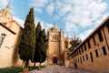 Scenic exterior view of the Cathedral of Salamanca a sunny day