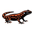 Stylized illustration of a salamander, featuring a black body with vibrant orange patterns along its back and limbs. Royalty Free Stock Photo
