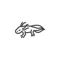 Salamander amphibian line icon