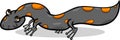 Salamander animal cartoon illustration