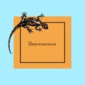 Lizard Logo design vector template. Iguana icon illustration. Salamander.