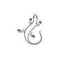 Salamander hand drawn sketch icon.