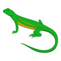 Salamander icon, cartoon style