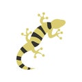 Salamander icon in flat style