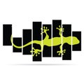 Salamander lizard color vector