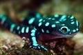 Salamander lizard with gentle green speckles lurking on rocks.