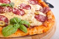 Salami pizza close-up Royalty Free Stock Photo