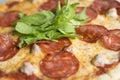 Salami pizza close up Royalty Free Stock Photo