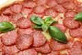 Salami pizza, close up and selective focus Royalty Free Stock Photo