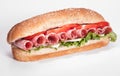 Salami sandwich Royalty Free Stock Photo