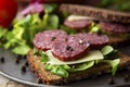 Salami sandwich. Open sandwich of salami slices on whole grain bread with green leaves and spices Royalty Free Stock Photo