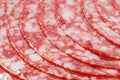 Salami sausage meat with bacon cut into circles close-up Royalty Free Stock Photo