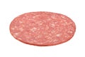 Salami sausage slice Royalty Free Stock Photo