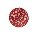 Salami sausage slice icon. Editable element for your design. Grocery store assortment, healthy nutrition. Ingredients for pizza. I Royalty Free Stock Photo