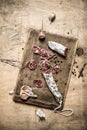 Salami with spices and sliced garlic on a wooden Board. Royalty Free Stock Photo