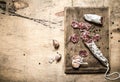 Salami with spices and sliced garlic on a wooden Board. Royalty Free Stock Photo