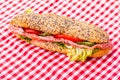 Salami Sub sandwich Royalty Free Stock Photo