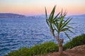 Salamis island greek sunset