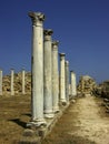 Salamis ruins