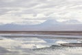 Salar Atacama