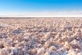 Salar de atacama Royalty Free Stock Photo