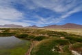 Salar de Pujsa atacama desert chile green water blue sky