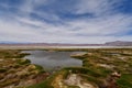 Salar de Pujsa atacama desert chile green water blue sky