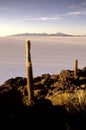 Salar de Uyuni- Bolivia