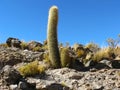 Salar de Uyuni, Bolivia.