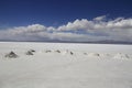 Salar De Uyuni Bolivia