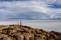 Salar de Uyuni. Giant Cactus Plants against Sunny Blue Sky at Isla del Pescado or Isla Incahuasi Royalty Free Stock Photo