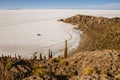 Salar de Uyuni. Giant Cactus Plants against Sunny Blue Sky at Isla del Pescado or Isla Incahuasi Royalty Free Stock Photo