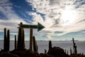 Salar de Uyuni. Giant Cactus Plants against Sunny Blue Sky at Isla del Pescado or Isla Incahuasi Royalty Free Stock Photo