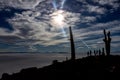 Salar de Uyuni. Giant Cactus Plants against Sunny Blue Sky at Isla del Pescado or Isla Incahuasi Royalty Free Stock Photo