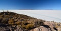 Salar de Uyuni view from Isla Incahuasi. PotosÃÂ­ Department. Bolivia