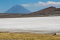 Salar on South America altiplano, Reserva Natural de Salinas y Aguada Blanca