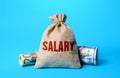 A Salary money bag. Remuneration and wages. Population income statistics, living standards and prosperity. Attractive lucrative