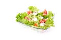 Salat isolated on white background. Royalty Free Stock Photo