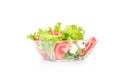 Salat with tomato and cheese in a bowl Royalty Free Stock Photo