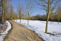 Salburua park in winter, Vitoria (Spain) Royalty Free Stock Photo