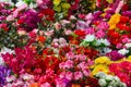 Sale of artificial flowers on the market Royalty Free Stock Photo