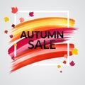 Sale Autumn Banner design with frame and leaves