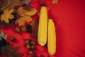 Sale for autumn corn. Autumn concept. Bunch of yellow-golden leaves, corn and acorns with nuts lie on a red plaid.