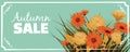 Sale, Autumn flowers, Fall, leaves, banner, flyers, card, autumn colors, template, vector, illustration, isolated